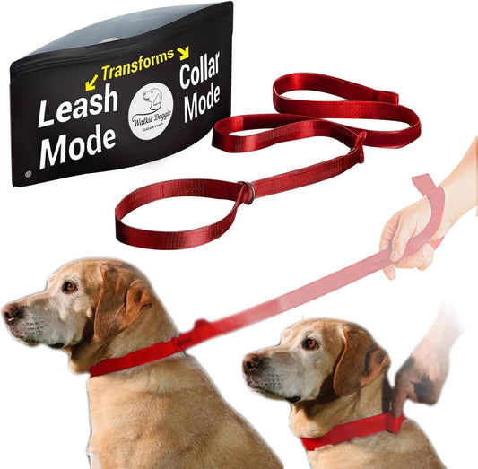 Dog Collar with Leash – Multifunctional Collar and Leash for Dogs – Pet Collar with 3-In-1 Regular and Slip Dog Leash – Heavy-Duty Pet Leash for Medium and Large Dogs (Red)