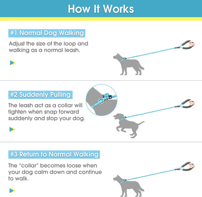 6 Feet Slip Lead Dog Leash Anti-Choking with Upgraded Durable Rope Cover and Comfortable Padded Handle for Large, Medium, Small Dogs Trainning with Poop Bags and Dispenser (Black)